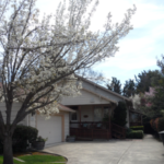 Victoria's Place front yard